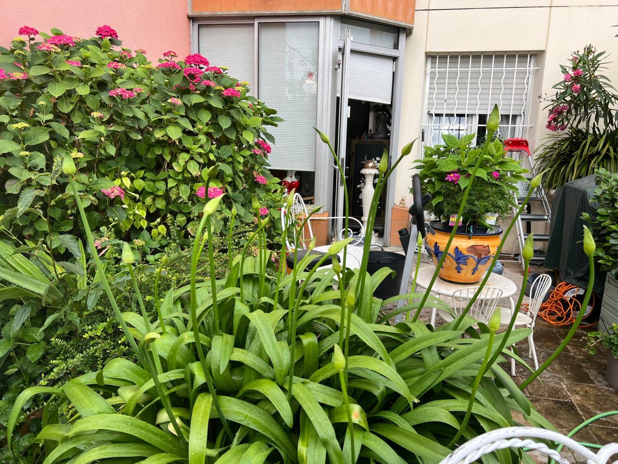 Apparemment Proche Tram Apartment *